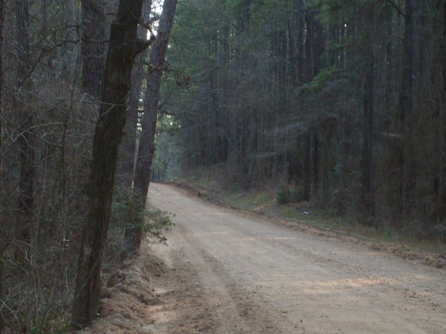 New Waverly, TX A simple dirt road. photo, picture, image (Texas) at