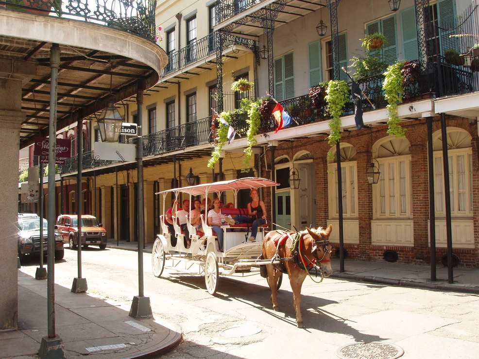 guided tour new orleans