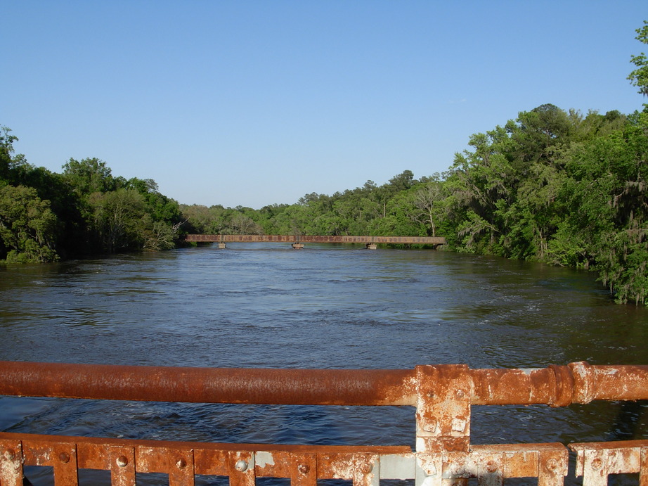 Live Oak, FL: The Suwannee river, from old Hwy 90 bridge
