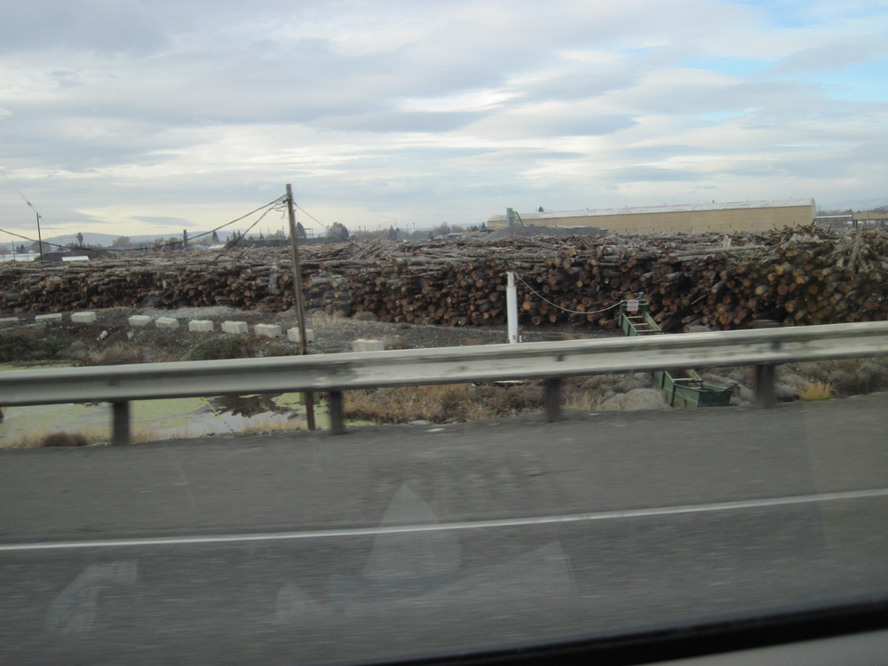 Yakima, WA: Logging/Lumber operation in Yakima, WA along Rte 82