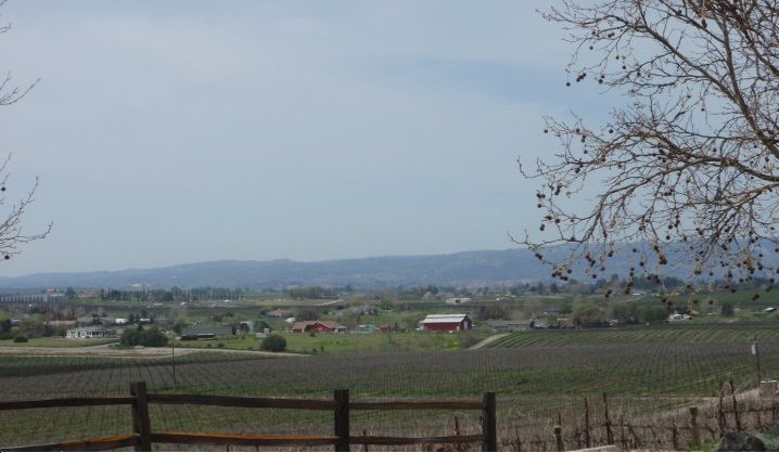 Paso Robles, CA: Peaceful Valley and Red Barn Beyond the Vineyards