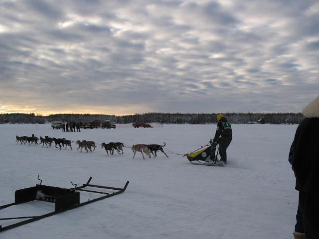 Willow, AK: Dog Sled races Willow Lake / Willow winter Carnival