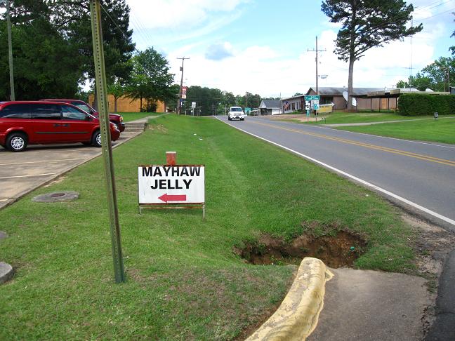 Marion, LA: Get yer Mayhaw jelly!