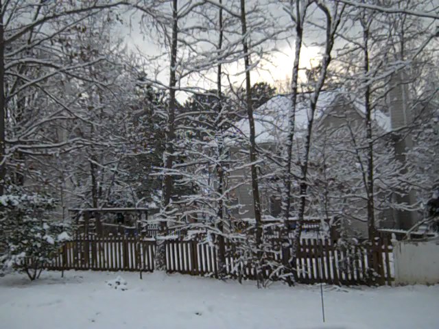 Garner, NC: Garner in the winter