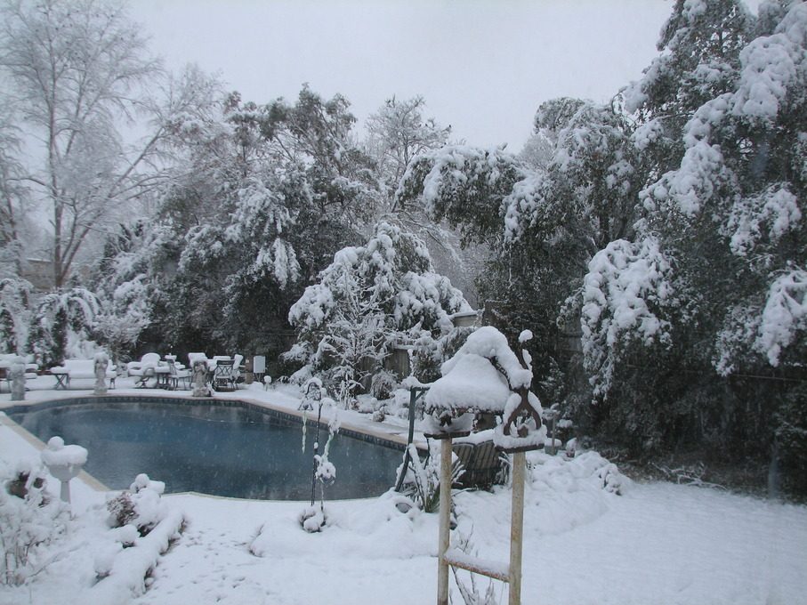 Coushatta, LA: Surprise snowfall Feb 2010. My backyard