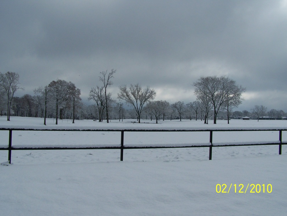 Jacksonville, TX: snow covered field