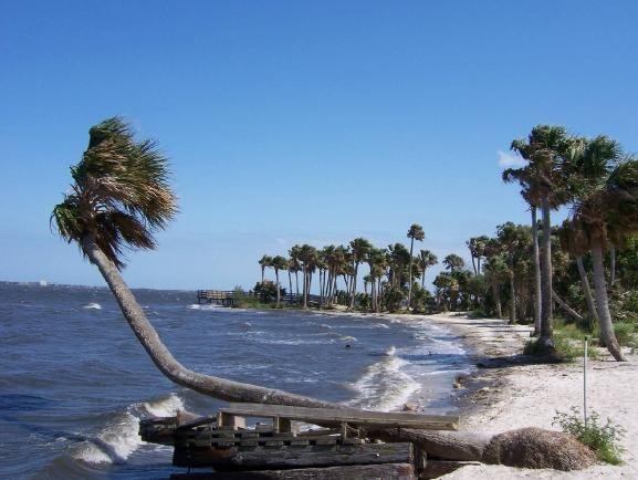 Palm Bay, FL: pictures of towns places