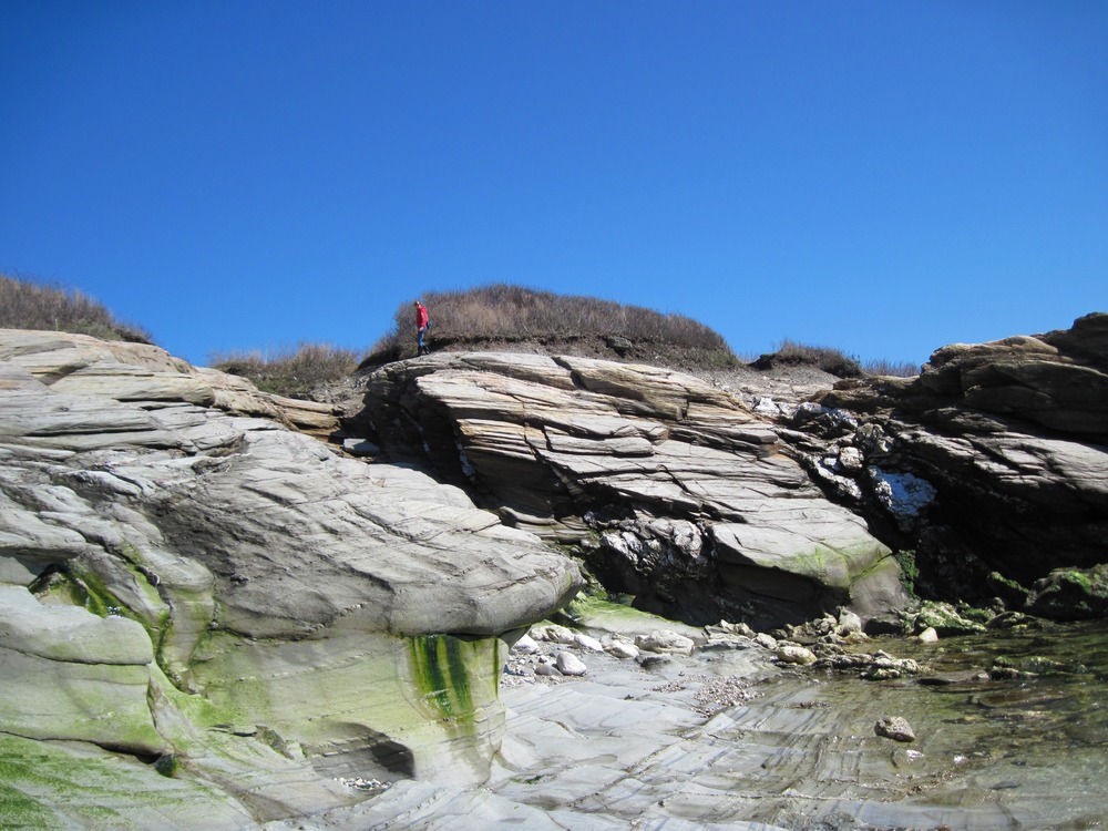 Jamestown, RI: A Rocky intertidal beach at Beavertail park
