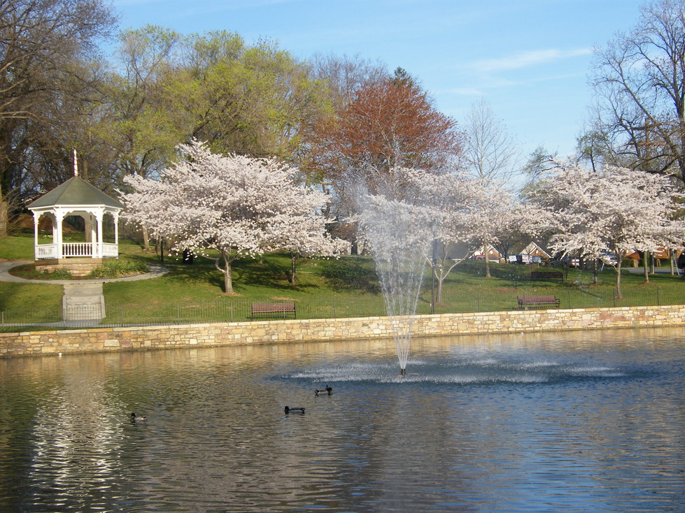 Salem, VA: Lake Spring W. Main St. Salem VA Spring 2008