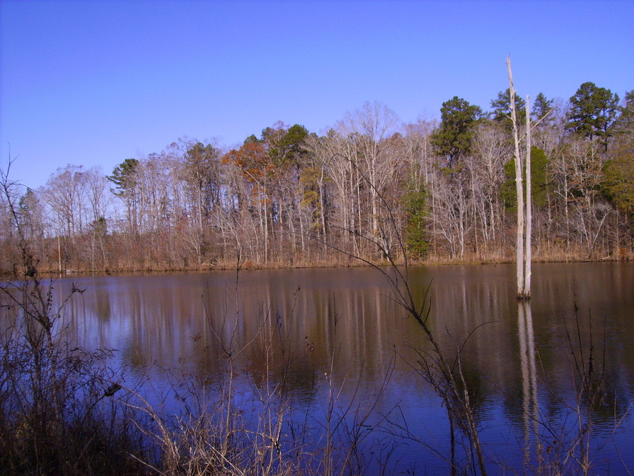 Vardaman, MS: A beautiful fall day 2009