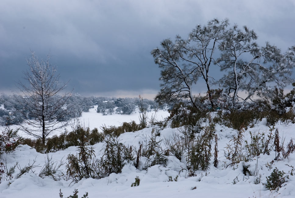 Cameron Park, CA: Snow day Landscape