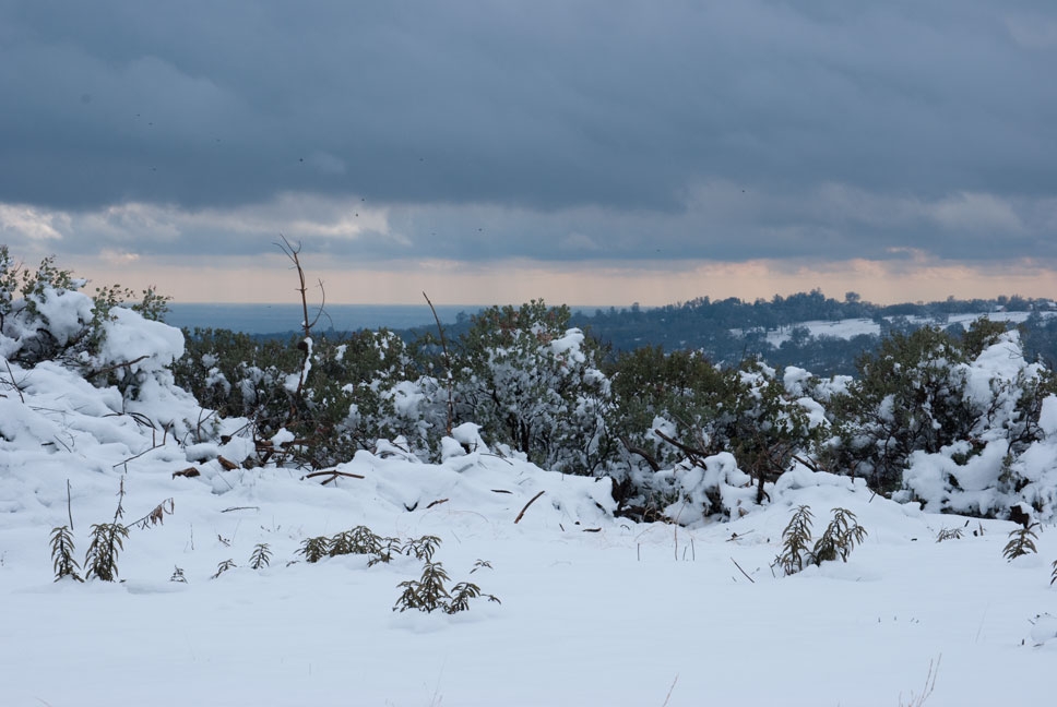 Cameron Park, CA: Snow day sky2 Landscape