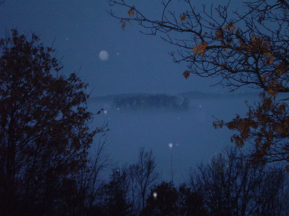 Onalaska, WI: Lake Onalaska, right off the highway; warm,rainy winter evening with fog coming up from the ice. It looks like a fairy land, but it was just the perfect weather conditions for a magical photo.