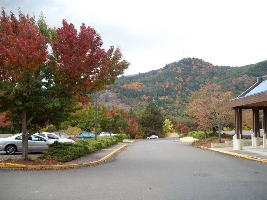 Myrtle Creek, OR: Valley View Plaza Parking Lot off Highway 99 near Ray's Market