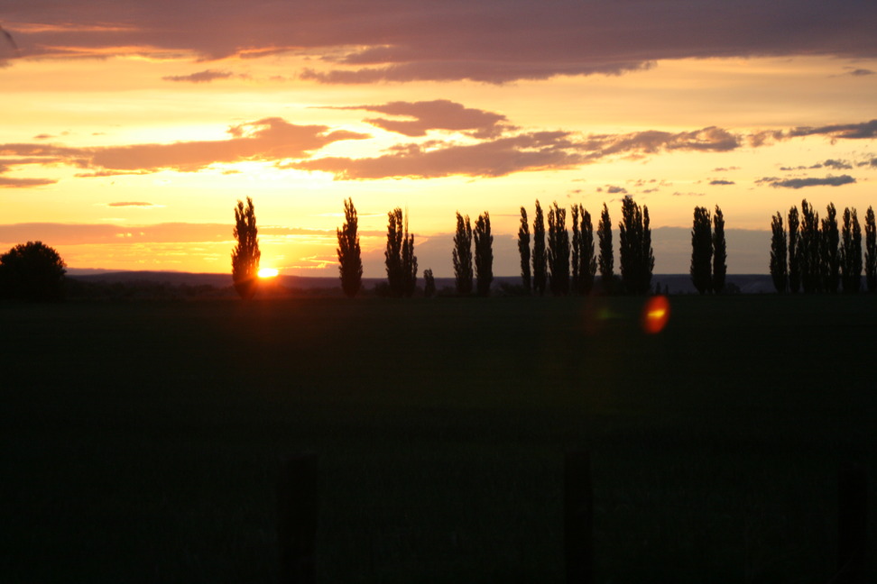 Bruneau, ID: Summer Sunset