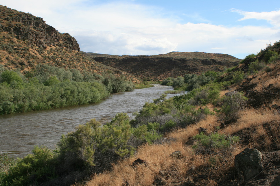 Bruneau, ID: The Bruneau River