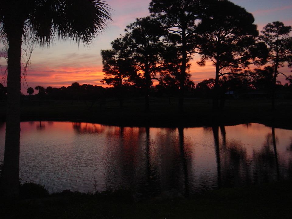 Englewood, FL: This sunrise was taken in our backyard on the Hills Golf Course