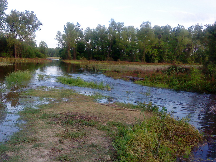 Waterproof, LA Mississippi River rising where the people of