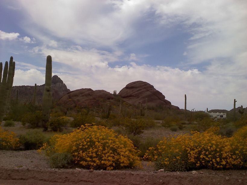 Ajo, AZ On Scenic Loop photo, picture, image (Arizona) at