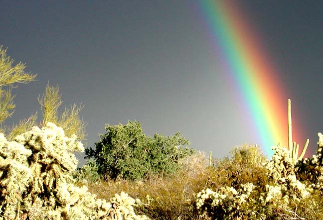Picture Rocks, AZ: Rainbow over Picture Rocks