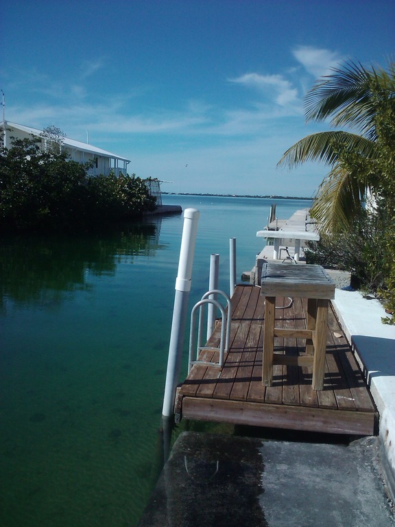 Cudjoe Key, FL: My back yard