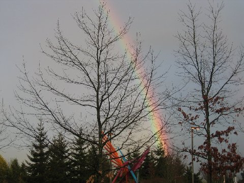 Mercer Island, WA: Mercer Island Rainbow