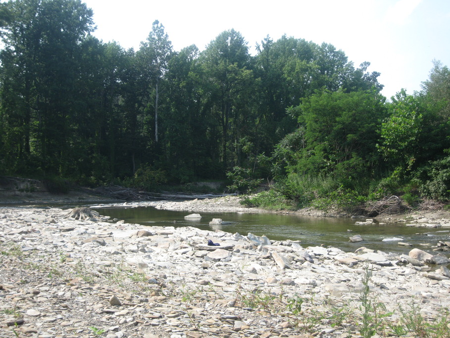 Girard, PA: Elk Creek in between North creek Road and Route 5.