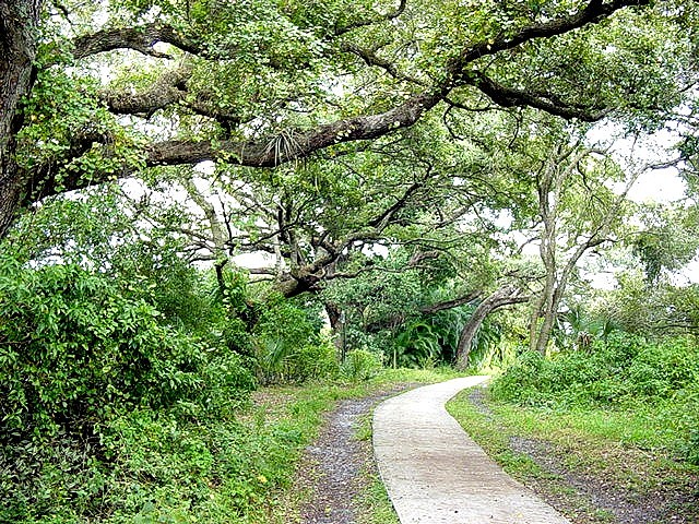 Davie, FL: Nature Walk in Davie