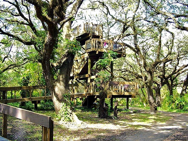 Davie, FL: Observation Tower Tree Tops Park Davie