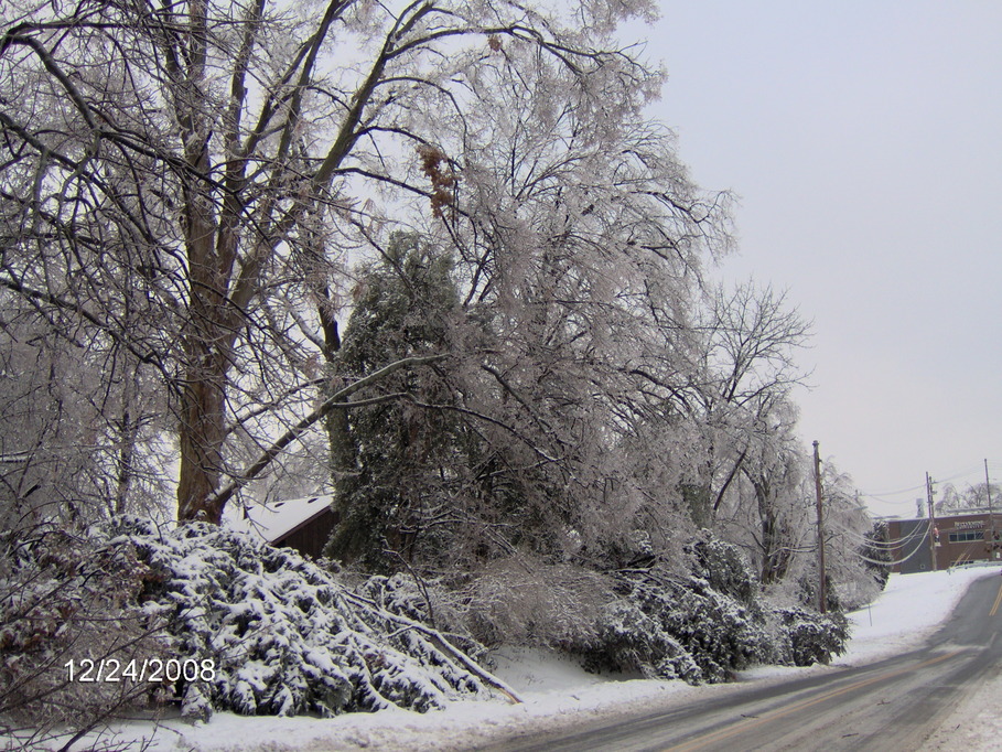 Louisville, KY: Bellarmine, After the 2009 Ice Storm