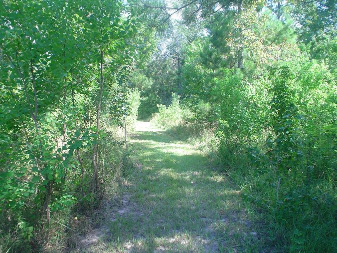 Cleveland, TX: Beautiful farm country in Cleveland, Texas