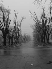 Eldon, MO: This picture was taken after the bad ice storm we had in December, 2007.