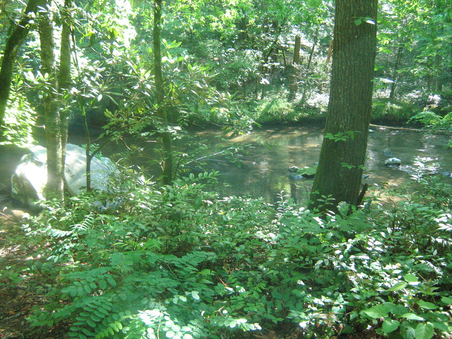Maggie Valley, NC: Mystical Creek