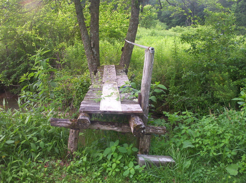 Craigsville, WV: An Old Man that leaved here before died at 93 had built this so he could cross the creek to the other side of his property. This was taken after his death in 2010