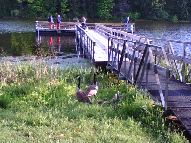 Mogadore, OH: The fishing dock at Mogadore Reservoir, Rt. 43, Mogadore.