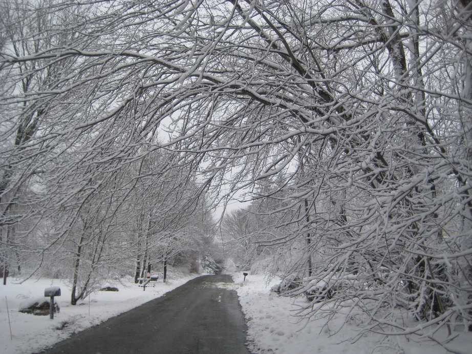 Brewster, NY: Winter 2010....Brrrrr....