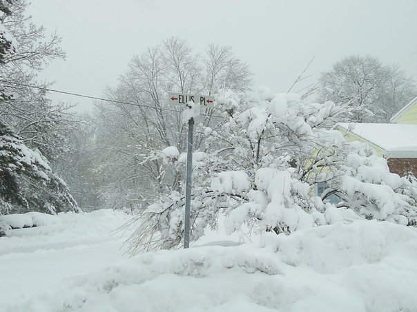 Wyckoff, NJ: Ellis Place during the 2010 Snowpacalypse