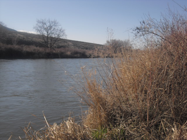 Benton City, WA: the yakima river near the bridge