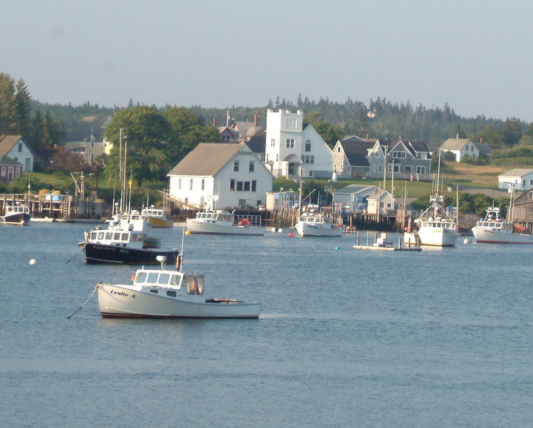 Cutler, ME: View from across the Bay