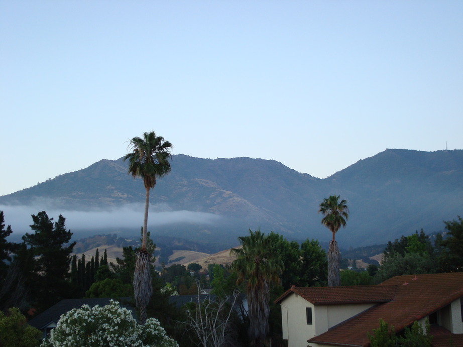 Clayton, CA: Mt. Diablo View from Dana Hills 7-10
