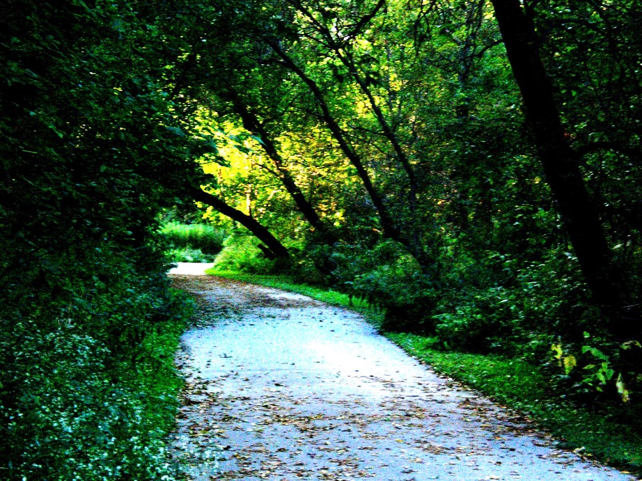 Pinconning, MI: Located on the Nature Trail near St. Michaels