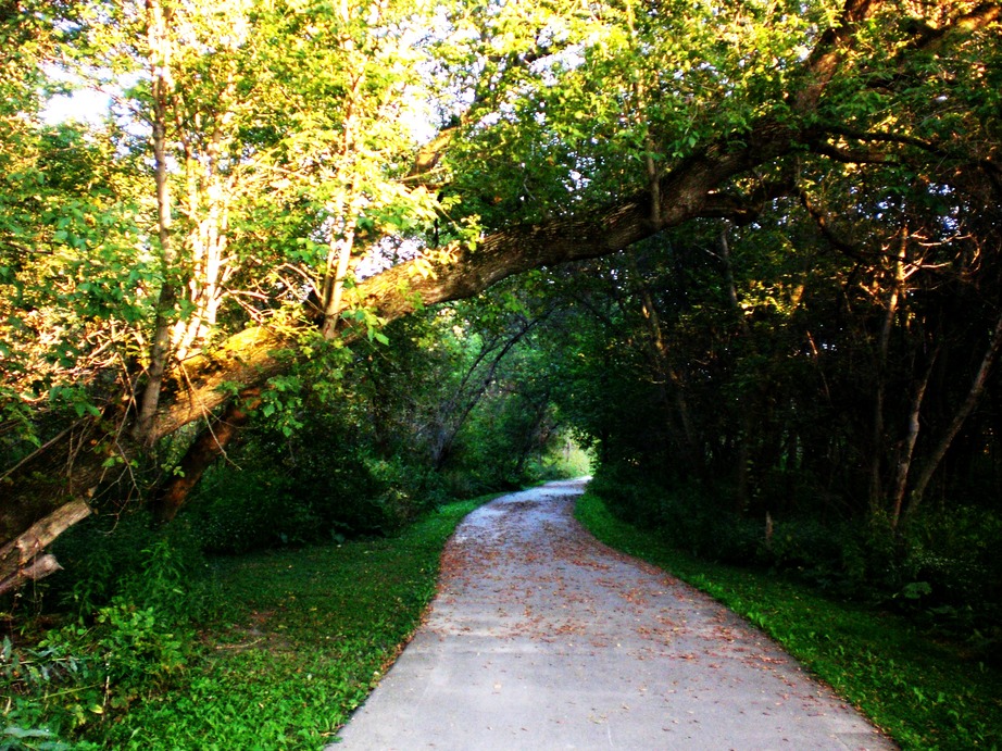 Pinconning, MI: Nature Trail
