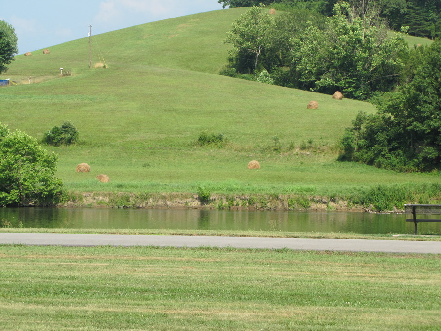 Surgoinsville, TN: Holston River and adjacent farm land; taken from the park off Longs Bend Pike