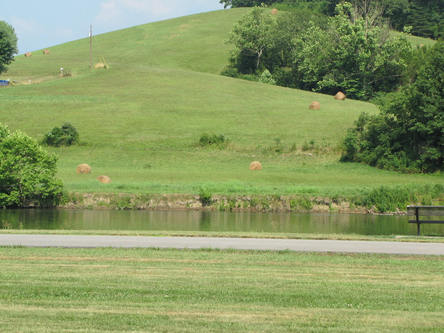 Surgoinsville, TN Holston River and adjacent farm land; taken from