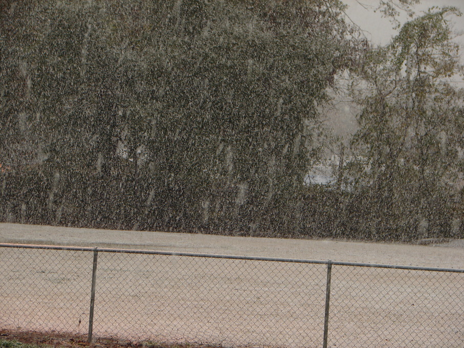 Luling, LA: Lagattuta Park snowing