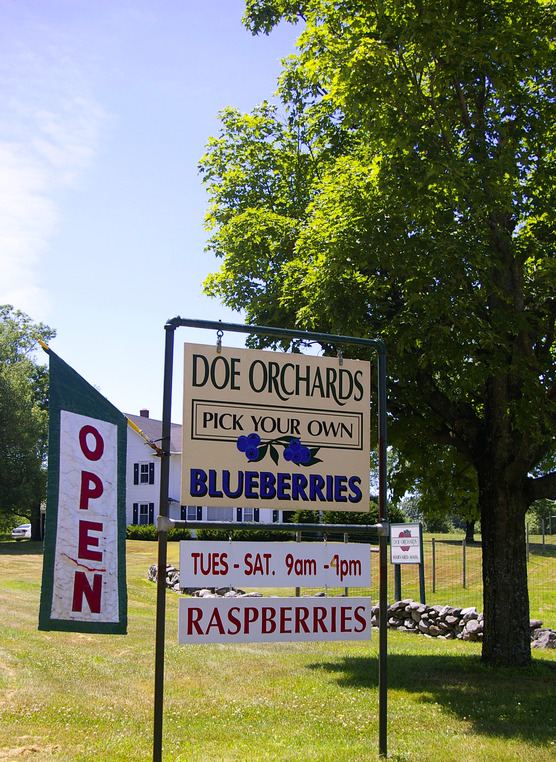 Harvard, MA: Doe Orchards July 2010