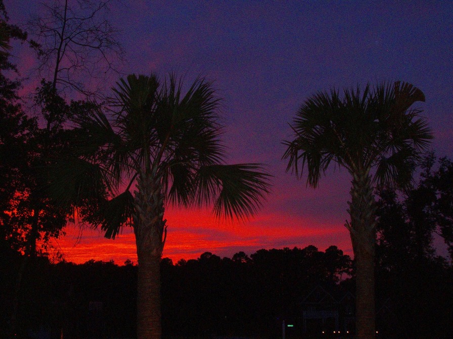 Florence, SC: Colorful Palmetto Sunset - Florence, SC.