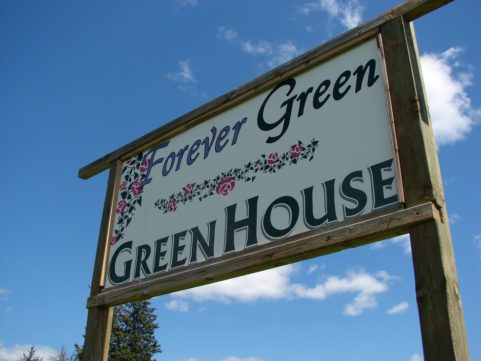 Effie, MN Forevergreen Greenhouse located in Effie Minnesota photo