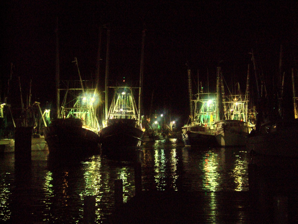 Oriental, NC: Fishing Boats in the harbor on a particulary busy night