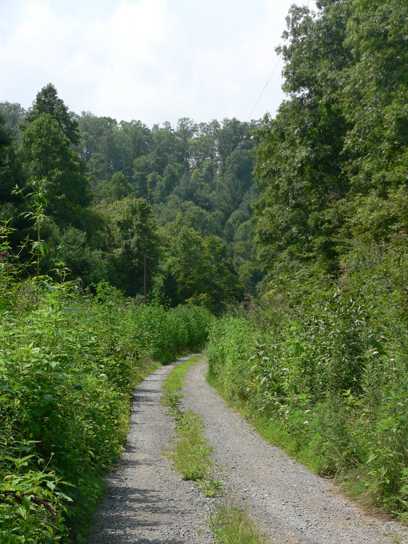 Keokee, VA: Country Road